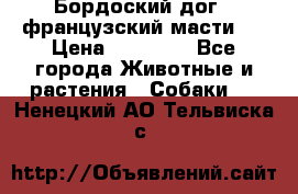 Бордоский дог ( французский масти)  › Цена ­ 50 000 - Все города Животные и растения » Собаки   . Ненецкий АО,Тельвиска с.